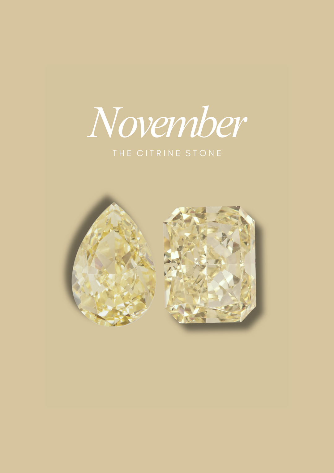 The "You & Me" Alara Birth Month Ring Set