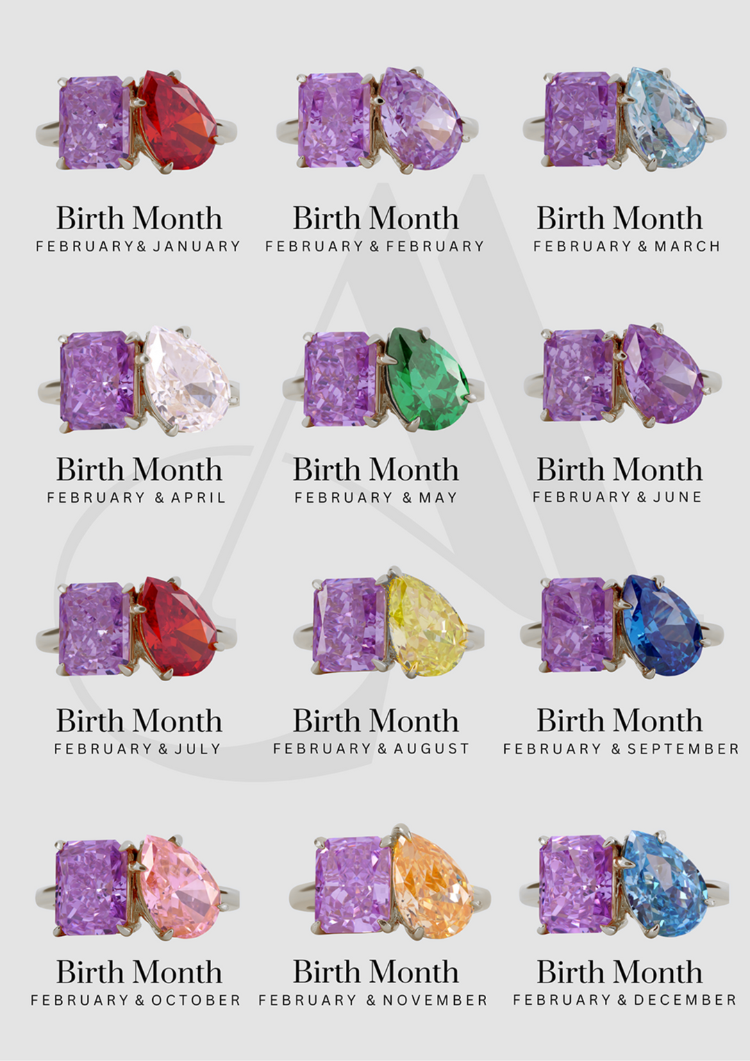 The "You & Me" Alara Birth Month Ring