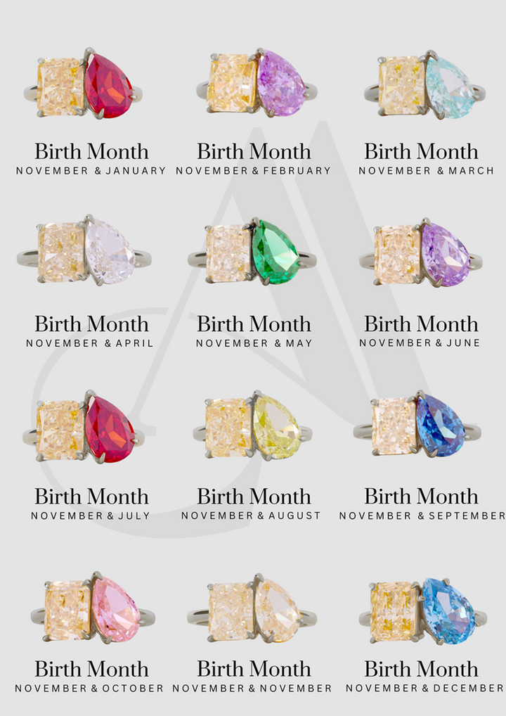 The "You & Me" Alara Birth Month Ring
