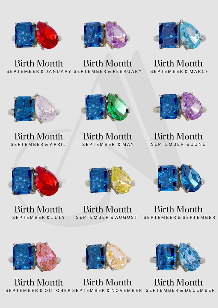 The "You & Me" Alara Birth Month Ring