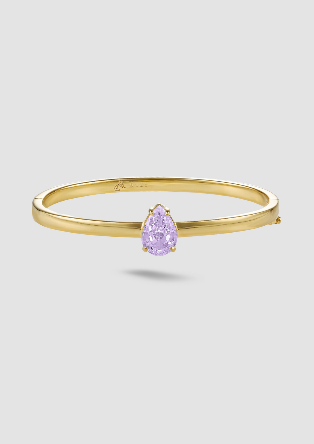 The February Tiffany Bangle